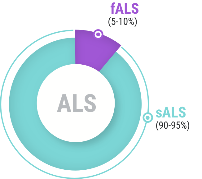 Infographic about the ALS types: sALS covers 90-95% of total and fALS covers 5-10% 