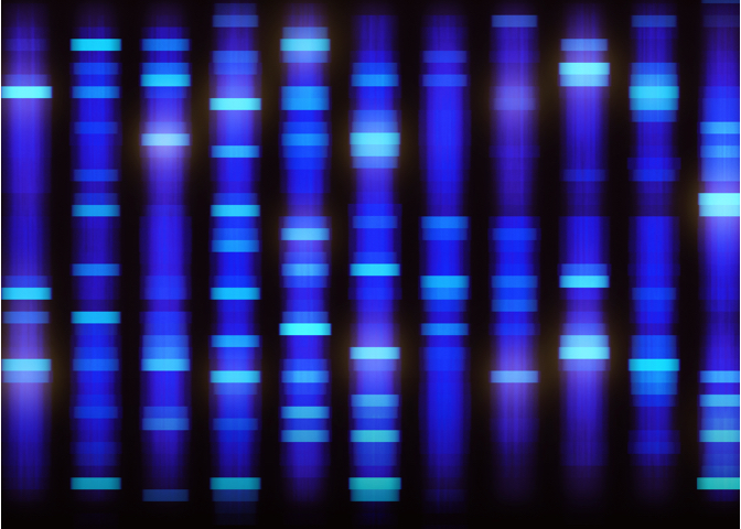 Abstract image of genetic sequencing