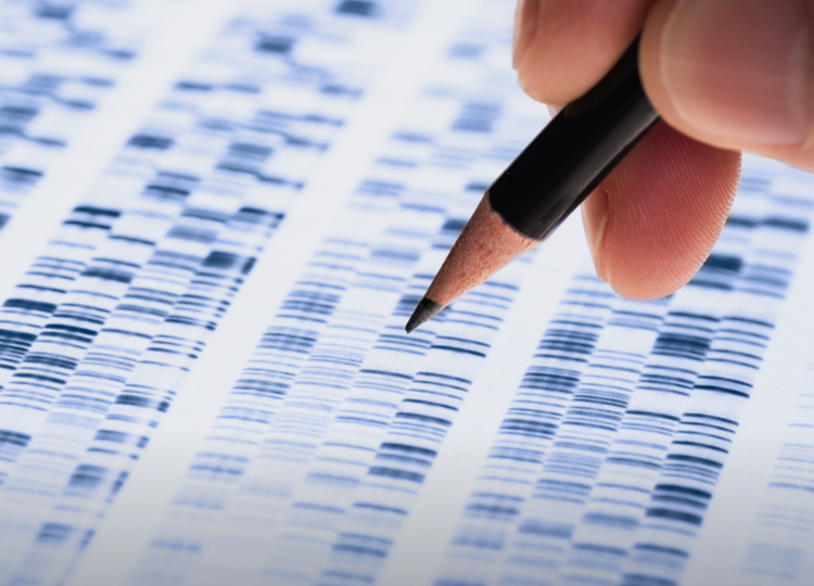 Genetic profile being analyzed by HCP – ready to circle the anomalies with a pencil